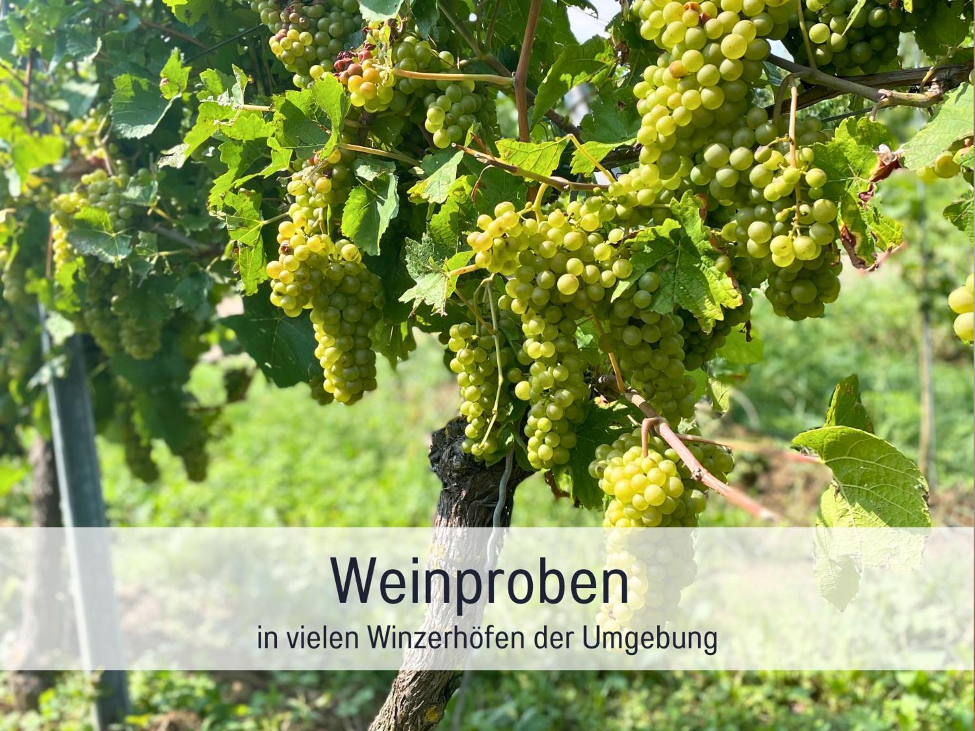 Ferienwohnungen Auszeit Langmatt Sulzburg Exterior foto